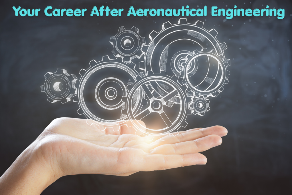 Aeronautical engineering graduate exploring career options in aviation